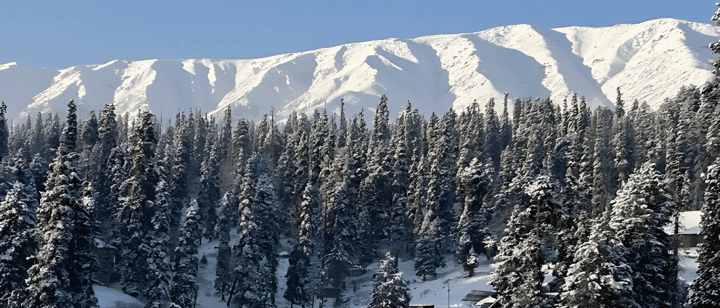 7 Day Yousmarg- Gulmarg - Pahalgam - Sonamarg