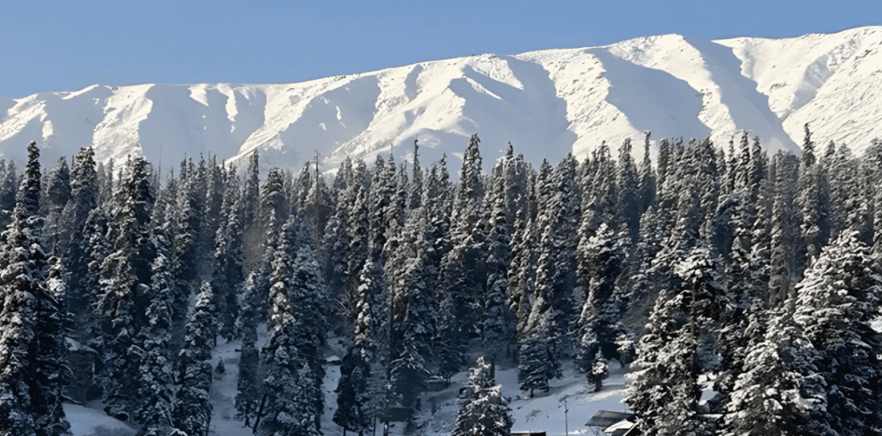 7 Day Yousmarg- Gulmarg - Pahalgam - Sonamarg