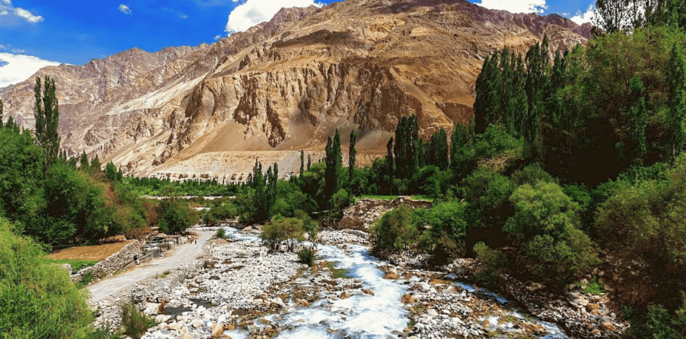 Leh with Stok Village