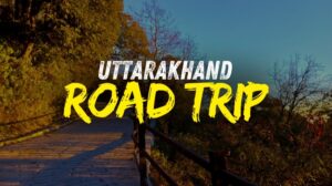 Scenic mountain road during a Uttarakhand road trip surrounded by trees and evening sunlight.