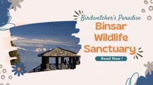 Scenic viewpoint at Binsar Wildlife Sanctuary overlooking snow-capped Himalayan peaks with visitors enjoying the mountain view.