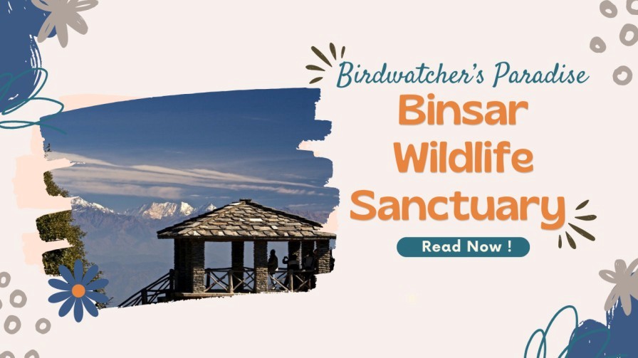 Scenic viewpoint at Binsar Wildlife Sanctuary overlooking snow-capped Himalayan peaks with visitors enjoying the mountain view.