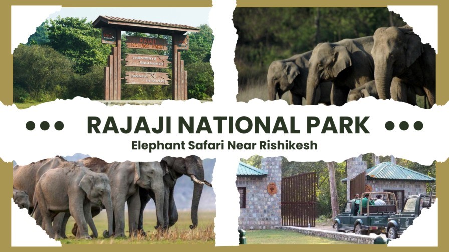 Entrance of Rajaji National Park and tourists enjoying an elephant safari near Rishikesh.