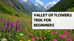 Colorful alpine meadow in the Valley of Flowers with vibrant wildflowers, lush green slopes, and snow-covered Himalayan peaks under a clear sky.