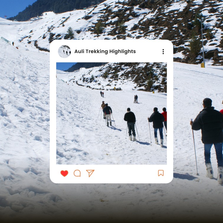 Trekking trails in Auli Uttarakhand with green meadows and snow peaks.