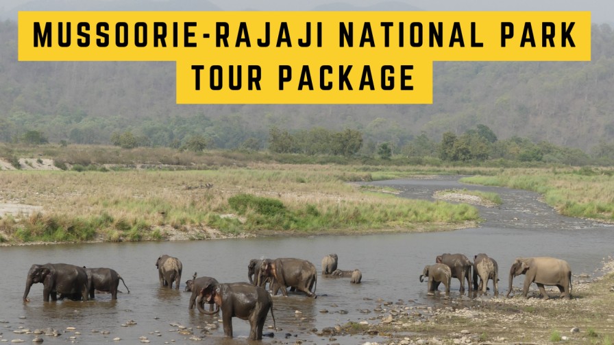 Scenic mountain landscape view seen during a planned Delhi to Mussoorie tour.