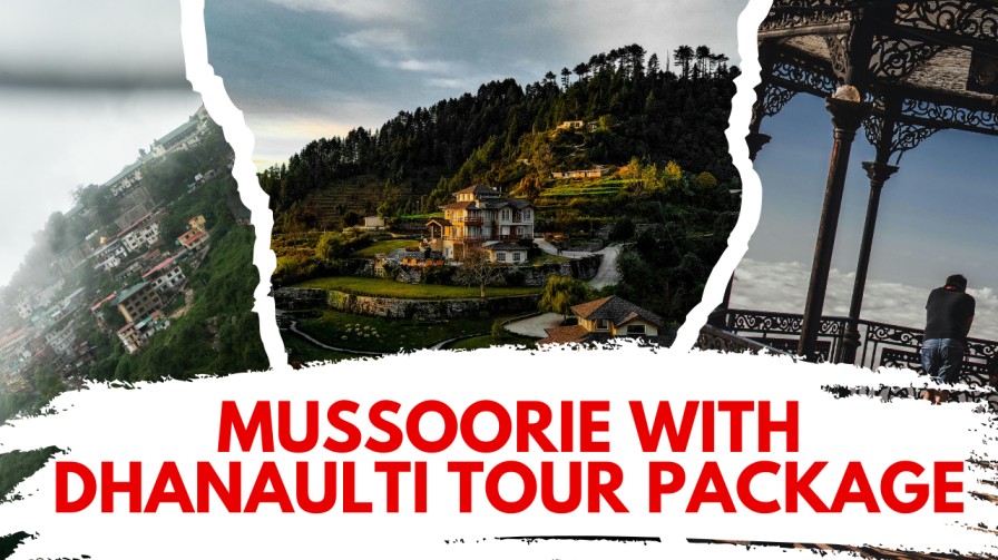 Complete Delhi to Mussoorie Tour and Dhanaulti Route Guide